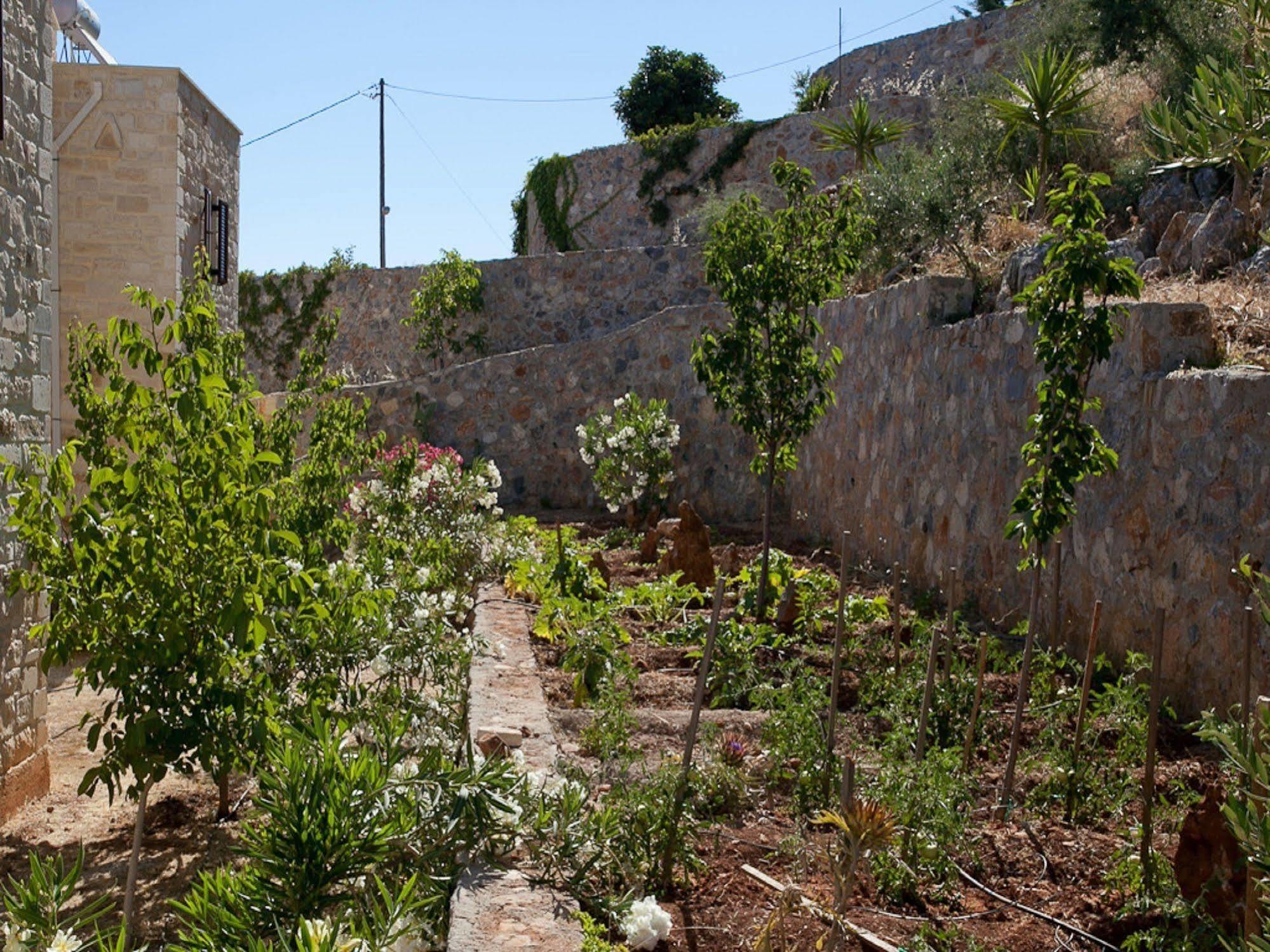 Villa Apollo - Saint George'S Retreat Village Kokkino Chorio Luaran gambar